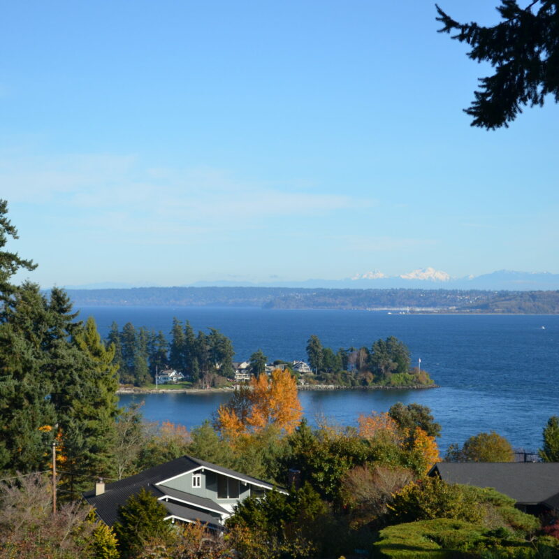 Evergreen Real Estate & Property Management